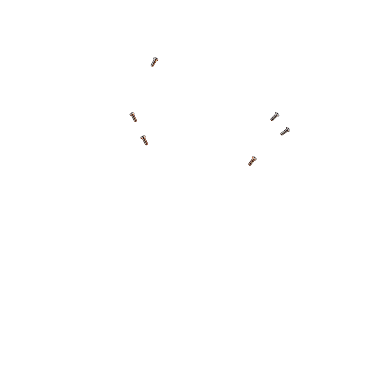 Screws and microchips